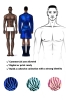 mens-clothing-design-figure-templates-4-skin-colors-body-outline-front-and-back-professional-fashion-drawing